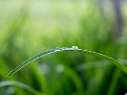 Philipp Torres Lnyd Zutqsi0 Unsplash