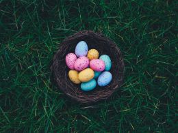 Annie Spratt 43O1 Kvb Owxa Unsplash