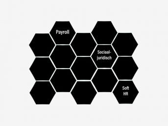 Hr Voor Debouw Honingraat Padding