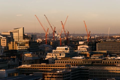 Pexels Olga Lioncat 7245333