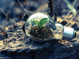 Pexels Singkham 178541 1108572