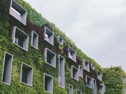 Ecological 06 03 2025 Darya Jum Tmt Lp0Q2P 0 Unsplash