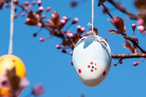 Easter 23 04 2025 Easter 3985674 1280 Pixabay