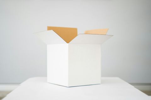 Box Kelli Mcclintock Gop Ryasfs Oc Unsplash 08062026