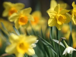 Bruno Neurath Wilson G Ih Dnzcfqyw Unsplash