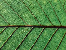 Vlad Kutepov B3A4 Q9 T X2 Y Unsplash