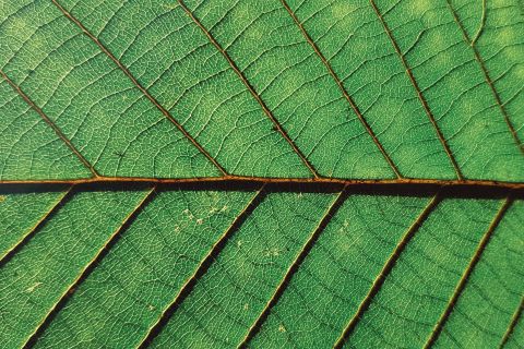 Vlad Kutepov B3A4 Q9 T X2 Y Unsplash