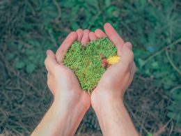 Pexels Min An 1230157