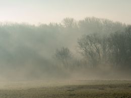 Simon Godfrey Vduh3 Kv Jlnw Unsplash